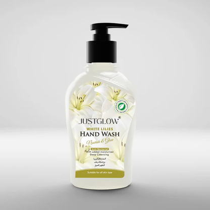 Anti Bacterial Hand Wash 500ml